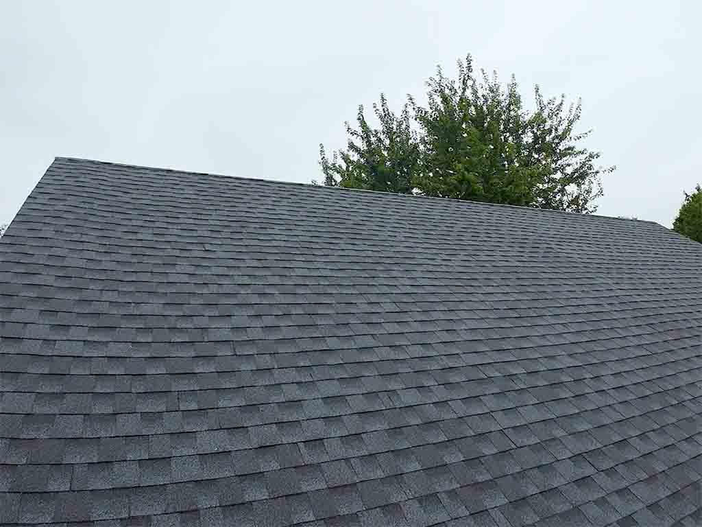 Top Roof Replacement & Contracting Services
